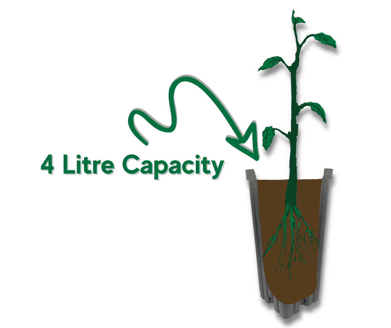 Nursery Overview Chislett Farms