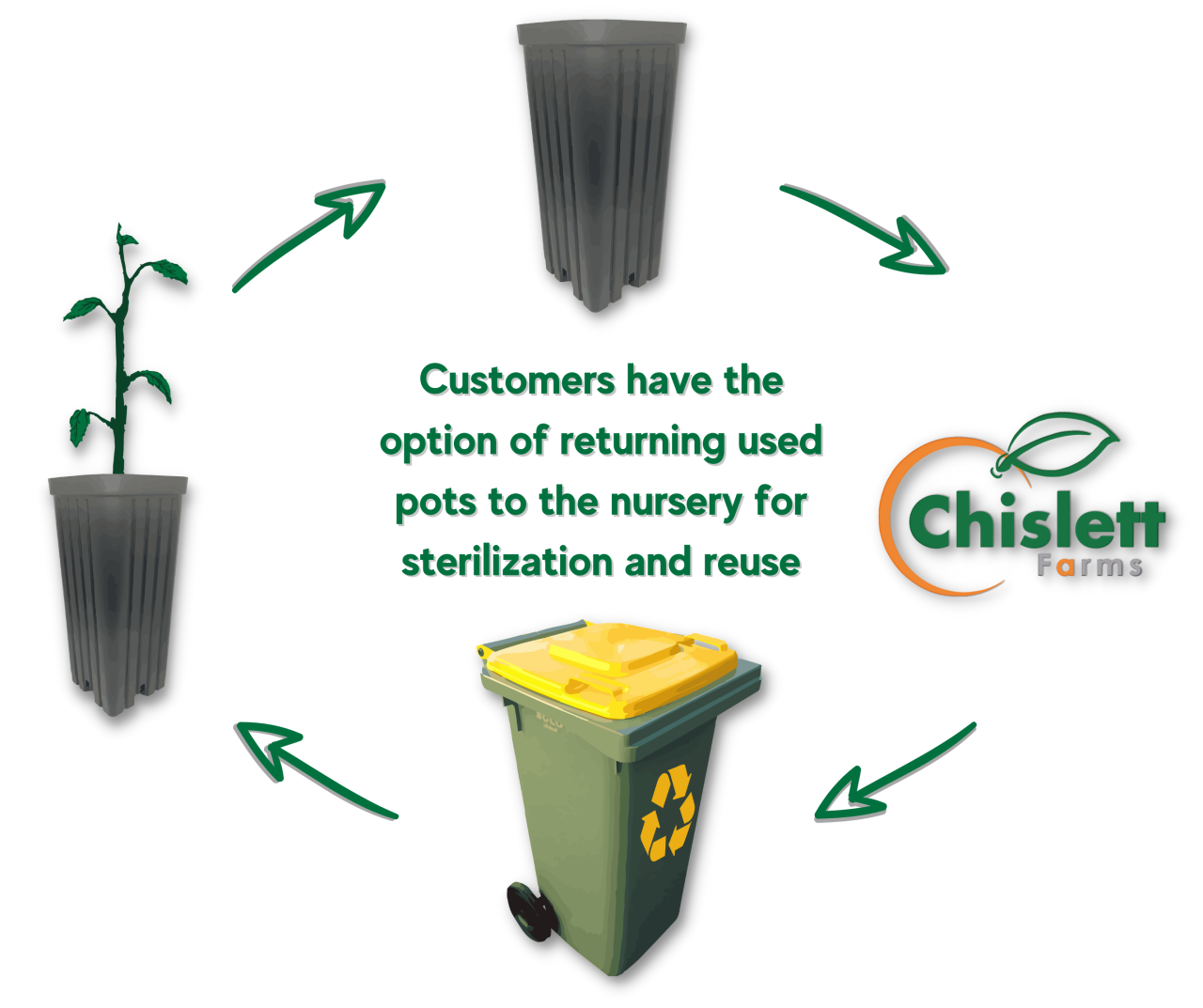 Nursery Overview Chislett Farms